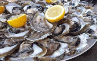 Oysters from Ston - Dubrovnik food story
