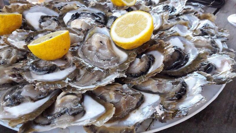 Oysters from Ston - Dubrovnik food story