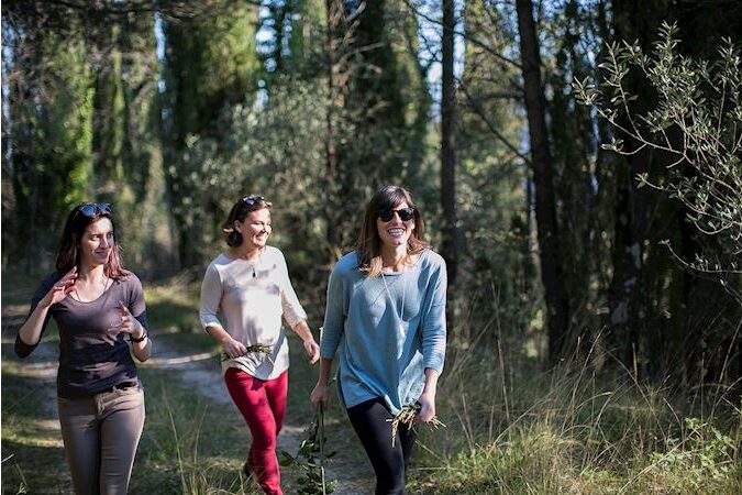 Wild food - Dubrovnik food story